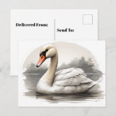 Dempende zwaan in water briefkaart (Voorkant / Achterkant)