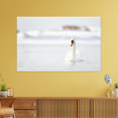 Dempende zwanen zwemmen in ijswater canvas afdruk (Insitu (Woonkamer))