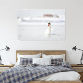 Dempende zwanen zwemmen in ijswater canvas afdruk (Insitu (Slaapkamer))