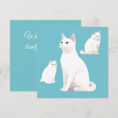 Demure Cats Verjaardag Kaart (Voorkant / Achterkant)