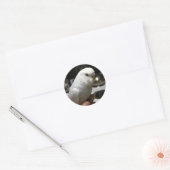Demure volledig witte parkiet met elektrisch berei ronde sticker (Envelop)