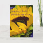 Demure Zonnebloem Verjaardag Kaart (Voorkant)