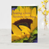 Demure Zonnebloem Verjaardag Kaart (Gele Bloem)