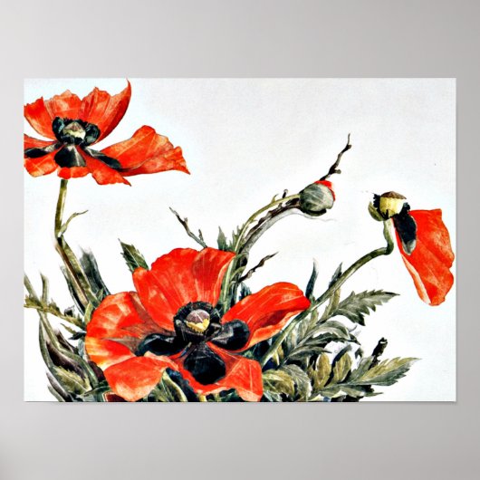 Demuth - Red Poppies, populair schilderij Poster (Voorkant)