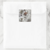 Den Lodgepole Pine kegel in de winter in Yellowsto Vierkante Sticker (Tas)