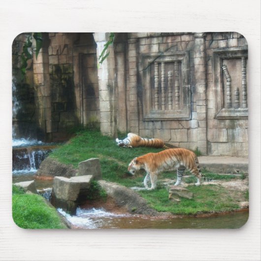 Den van de tijger muismat (Voorkant)