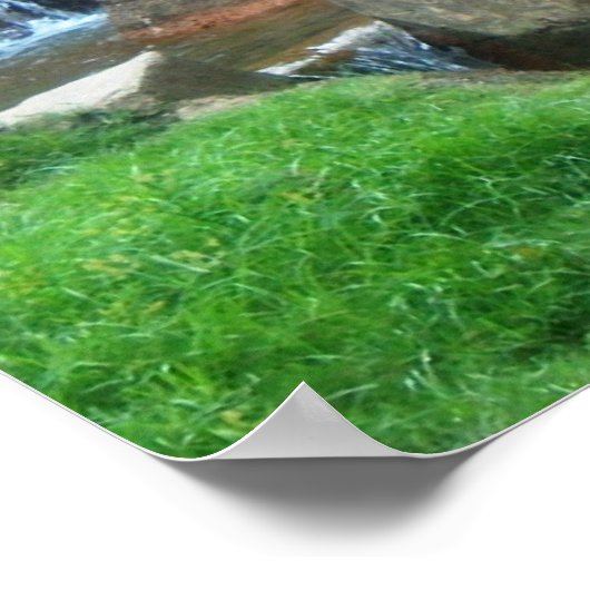 Den van de tijger poster (Hoek)