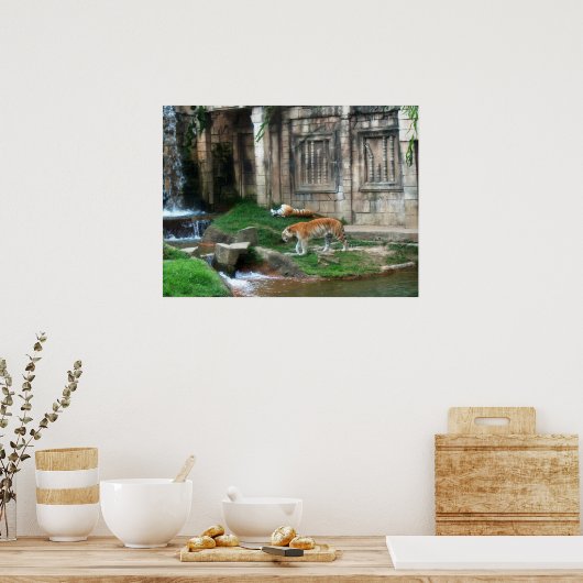 Den van de tijger poster (Keuken)