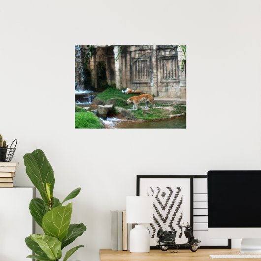 Den van de tijger poster (Thuiskantoor)