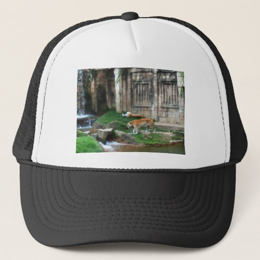 Den van de tijger trucker pet (Voorkant)