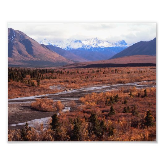 Denali, Alaska, Sneeuwbergen, Herfst, foto Afdruk (Voorkant)