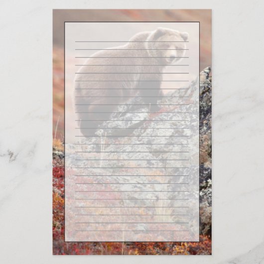 Denali Brown Beer Briefpapier (Voorkant)