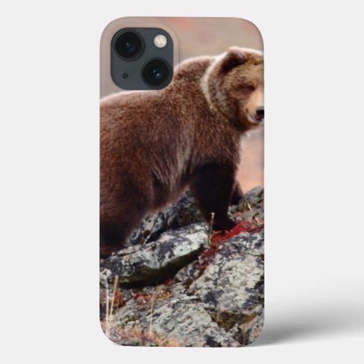Denali Brown Beer Case-Mate iPhone Case (Achterkant)