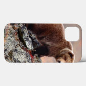 Denali Brown Beer Case-Mate iPhone Case (Achterkant (horizontaal))