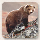 Denali Brown Beer Drankjes Onderzetter (Voorkant)