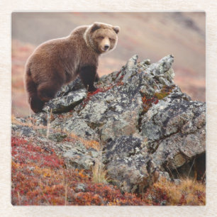 Denali Brown Beer Glazen Onderzetter
