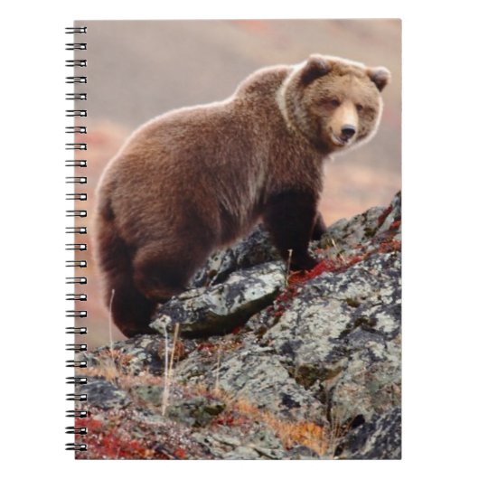 Denali Brown Beer Notitieboek (Voorkant)