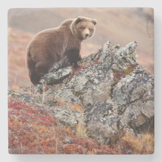 Denali Brown Beer Stenen Onderzetter (Voorkant)