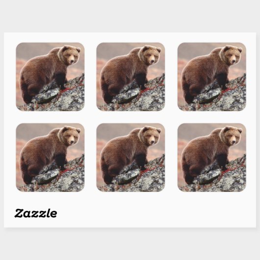 Denali Brown Beer Vierkante Sticker (Vel)