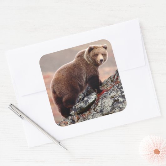 Denali Brown Beer Vierkante Sticker (Envelop)