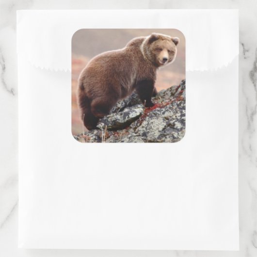 Denali Brown Beer Vierkante Sticker (Tas)