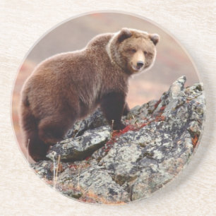 Denali Brown Beer Zandsteen Onderzetter