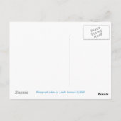 Denali, Denali Alaska Briefkaart (Achterkant)