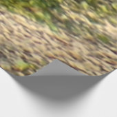 Denali Express Alaska Train Vacation Fotografie Houten Poster (Hoek)