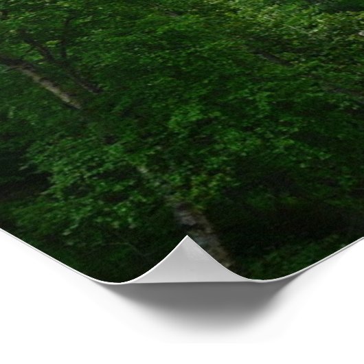 Denali Express Alaska Train Vacation Fotografie Poster (Hoek)