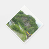 Denali Express Alaska Train Vacation Fotografie Servetten (Hoek)