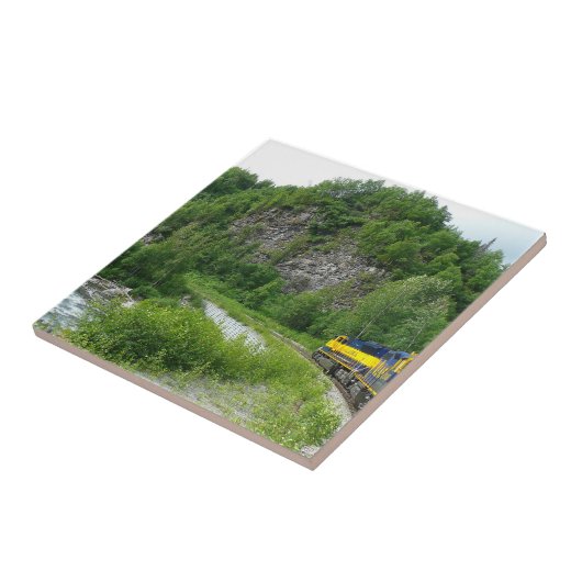 Denali Express Alaska Train Vacation Fotografie Tegeltje (Zijkant)