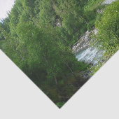 Denali Express Alaska Train Vacation Fotografie Tissuepapier (Detail)