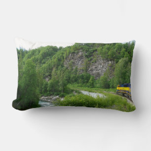Denali Express Alaska Trein Vakantie Fotografie Kussen