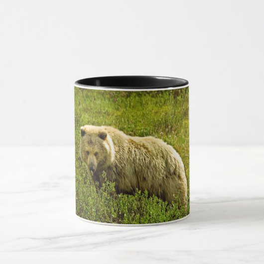 Denali Grizzly Mok (Midden)