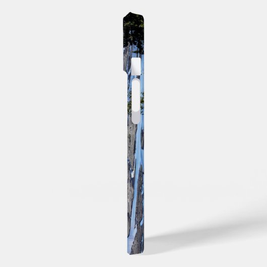 Denali Mountain Range Case-Mate iPhone Case (Achterkant / Links)