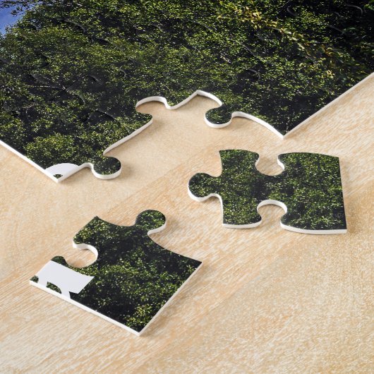 Denali (Mt. McKinley) Legpuzzel (Zijkant)