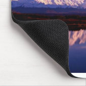 denali nat park alaska muismat (Hoek)