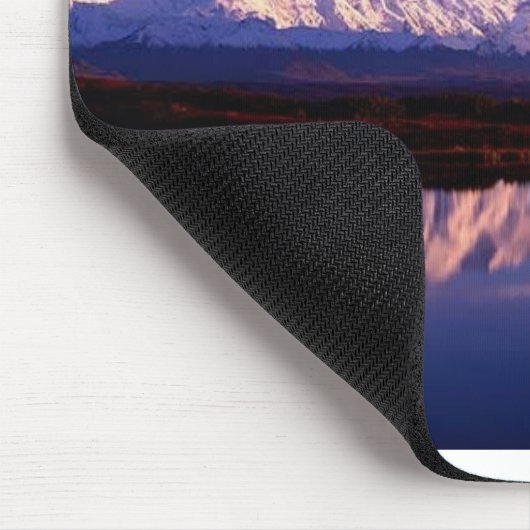 denali nat park alaska muismat (Hoek)