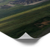 Denali National Park Poster (Hoek)