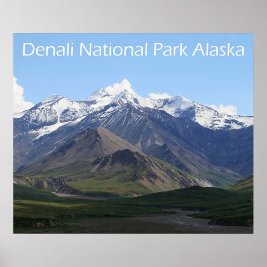 Denali National Park Poster (Voorkant)