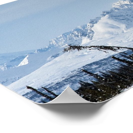 Denali Range Poster (Hoek)