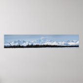 Denali Range Poster (Voorkant)