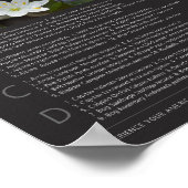 Denali Wildflower Poster (Hoek)