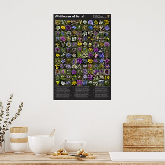 Denali Wildflower Poster (Keuken)