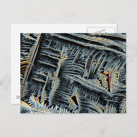 Dendritische kristallen onder de microscoop briefkaart (Voorkant / Achterkant)