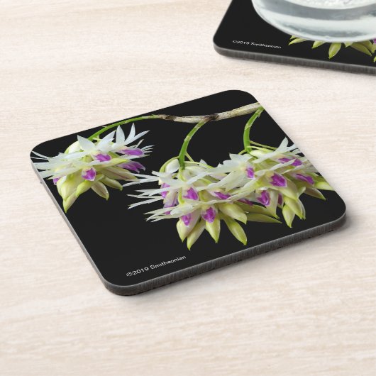 Dendrobium Amethystoglossum Bier Onderzetter (Linkerzijde)