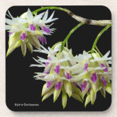 Dendrobium Amethystoglossum Bier Onderzetter (Voorkant)