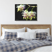 Dendrobium Amethystoglossum Canvas Afdruk (Insitu (Slaapkamer))