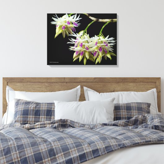 Dendrobium Amethystoglossum Canvas Afdruk (Insitu (Slaapkamer))