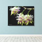 Dendrobium Amethystoglossum Canvas Afdruk (Insitu (Houten vloer))